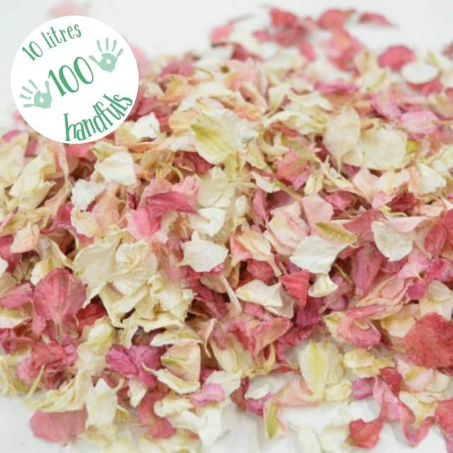Natural Dried Petal Wedding Confetti Pink Biodegradable Delphinium Petals  Eco 