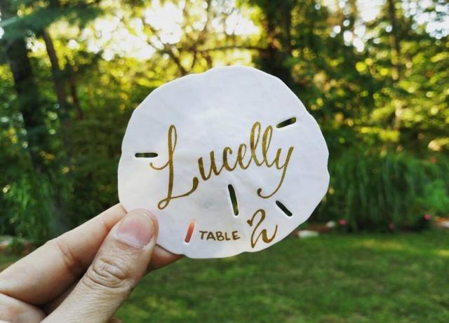 Hand Lettered Sand Dollar Escort Cards Sand Dollar Place Cards