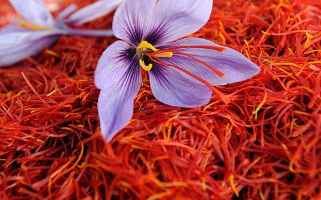 High Quality Of Saffron u00 0 Pure And Organic Saffron Guarantee The