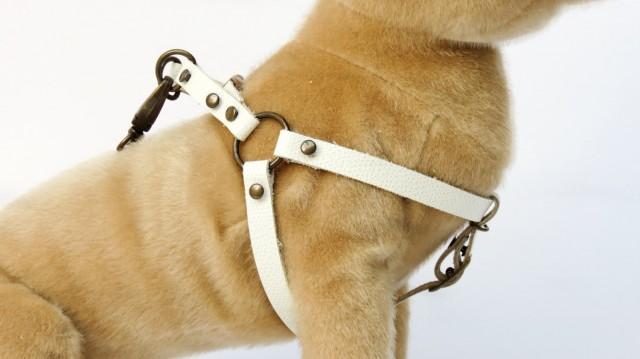 leather step in dog harness