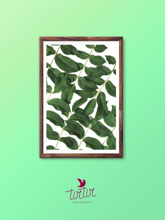 Leaf Wall Art Print Tropical Plant Photo Printable