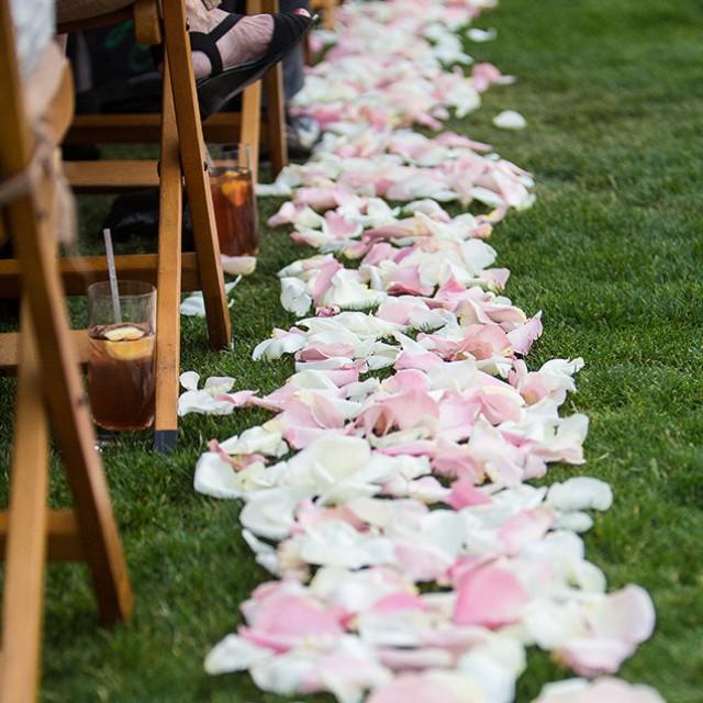 1,000 Flower Petals BULK Choose Color Silk Rose Petals Faux Fabric Rose