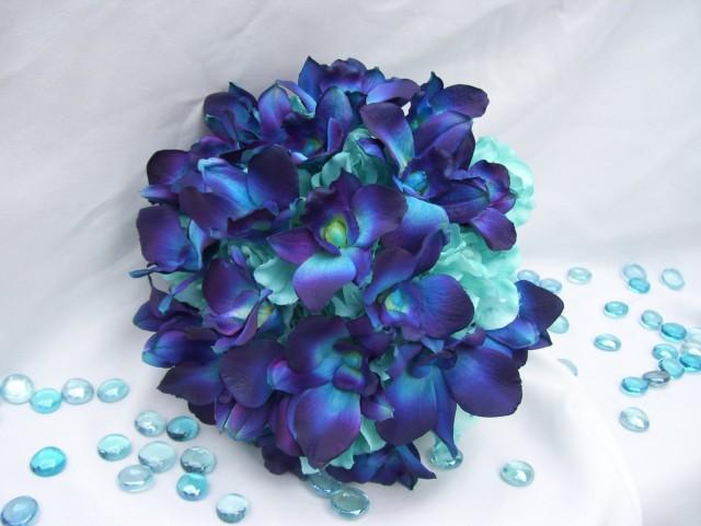 tiffany blue hydrangeas