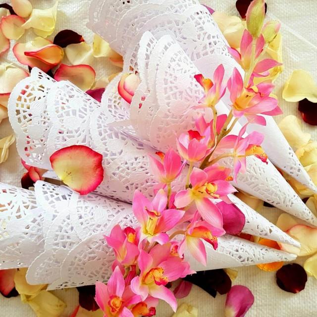 100 Wedding Petal Cones, Paper Petal Cones, Confetti Cones, Wedding