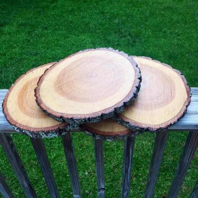 10" TREATED Wood Slice! 10 Inch, Wood Slices, 10", Large Wood Slices