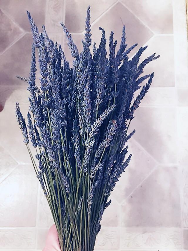 SALE Lavender Stems Bunch Bundle Stems 2017 Fragrant Dried Lavender For Bouquets, And Weddings