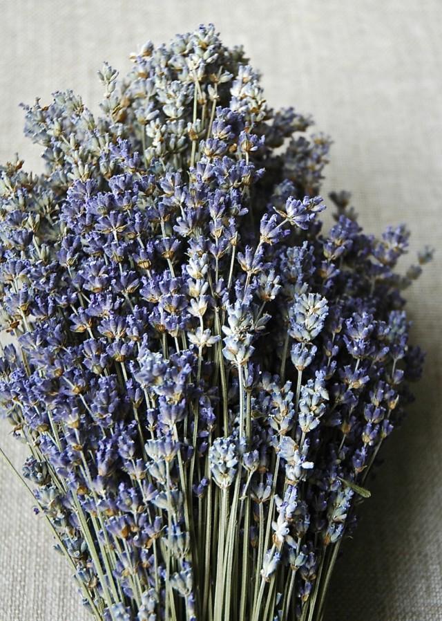 250 STEMS Of Dried English Lavender 812" Long Weddings Decor Crafts