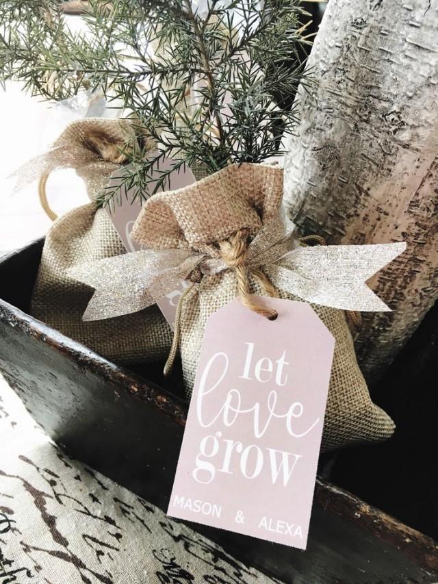 Tree Wedding Favor Kits , Wedding Favor Tags, Let Love Grow, Saplings