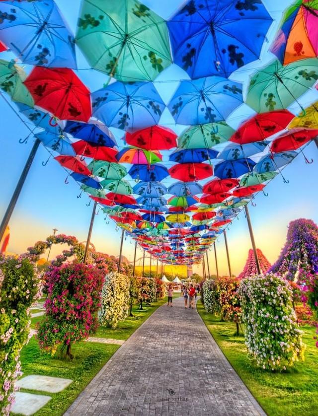 World’s Biggest Flower Garden, Miracle Garden In Dubai 2826148 Weddbook