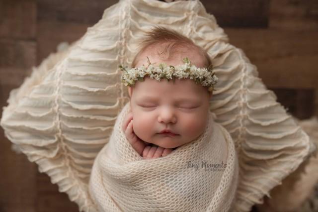 photography Prop dried flower halo Paisley pink halo- newborn photography Prop newborn Prop dried flower crown