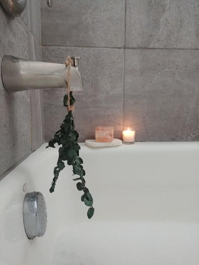 Mini Eucalyptus Bath Bouquet // Eucalyptus Shower // Self Care // Homeopathic // Eucalyptus Bath