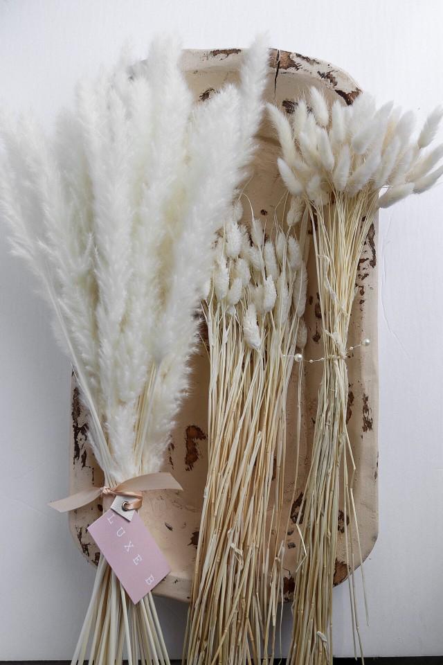 Dried Bleach White Flower Bunnytails Pampas Bundle Promo 2963297