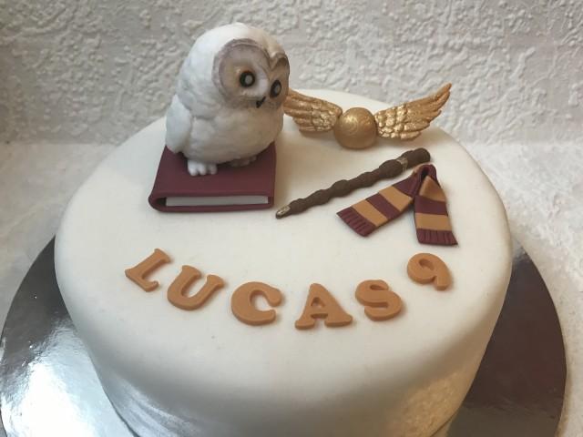 Harry Potter Edible Image Cake