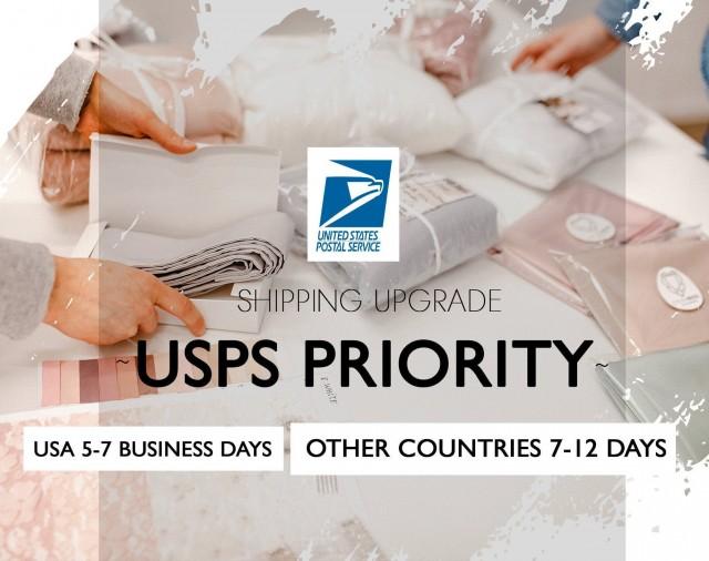 Dress Shipping Upgrade USPS Priority 2971908 Weddbook