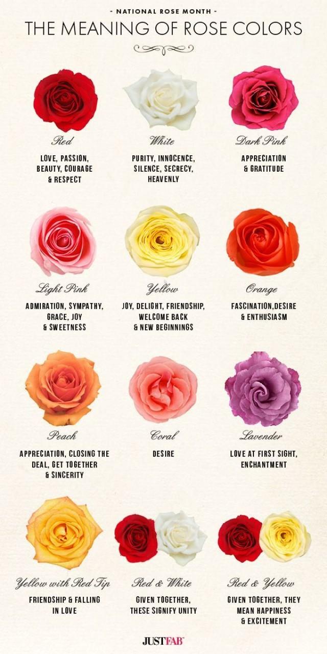 National Rose Month: The Meaning Of Rose Colors #2548863 - Weddbook