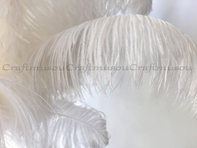 Natural Ostrich Feathers 20 Piece 10-24 Inches White Ostrich Feather ...