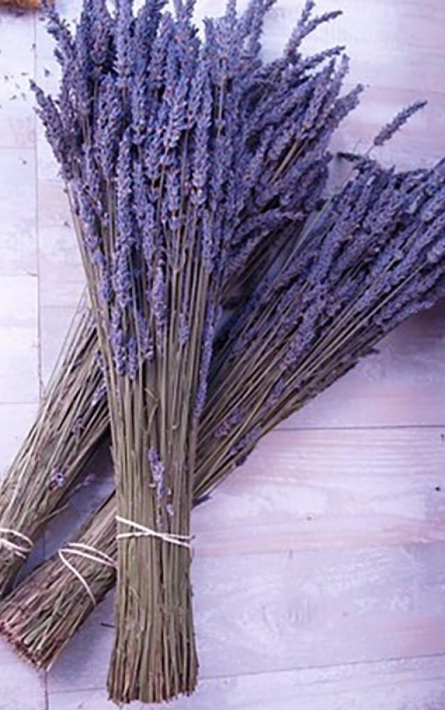 SALE Lavender Dried 2.5 Oz Bunch 200 Stems Bundle 2018 Fragrant ...